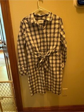 Calvin Klein Blue and White Plaid Button-Front Shirt Dress
